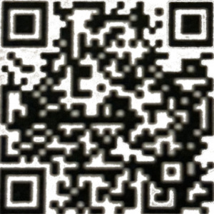 QR code contribute to JOE DOVINH FOR CITY COUNCIL 2026